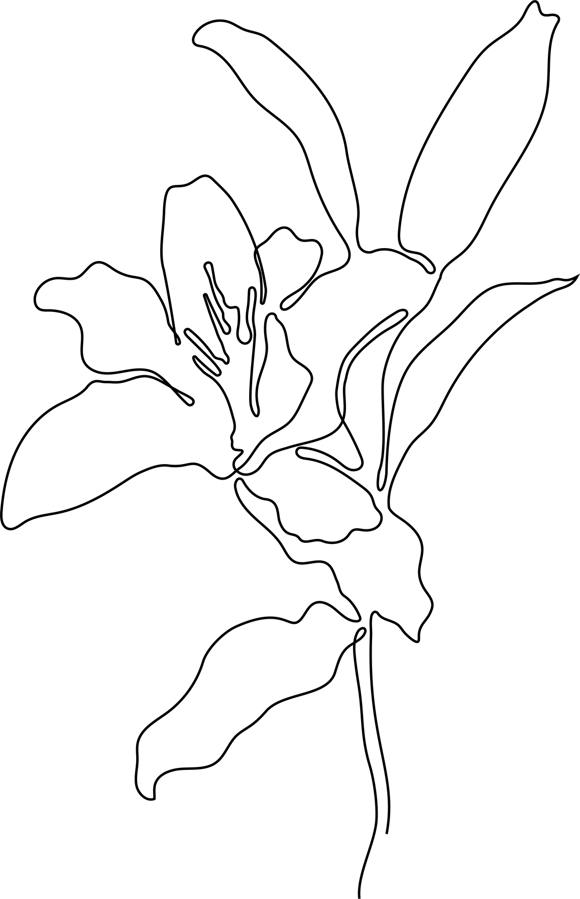 One Line Flower